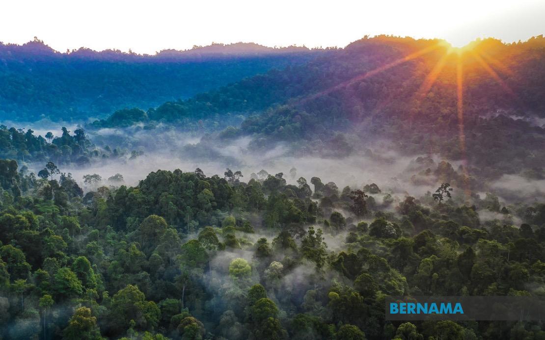 Kelantan Pledges Forest Replacement for All Degazetted Reserves
