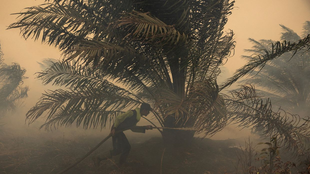 Japan deploys water-bombing helicopters as Kalimantan haze crisis intensifies