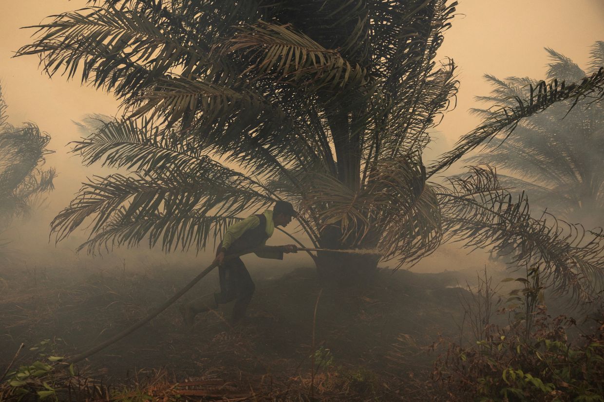 Japan deploys water-bombing helicopters as Kalimantan haze crisis intensifies