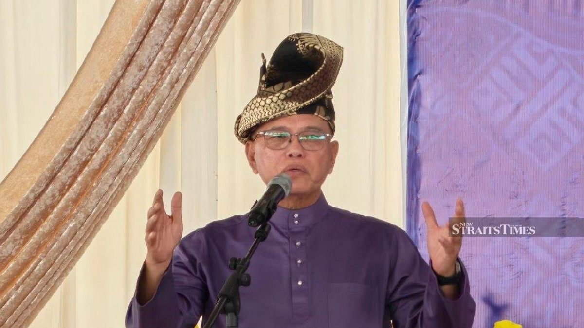 Negri Sembilan Election Result Shows Voters Put Stability Over Race, Says Umno Deputy