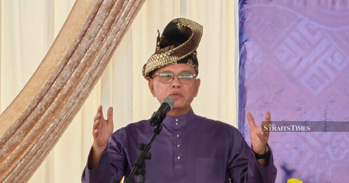 Negri Sembilan Election Result Shows Voters Put Stability Over Race, Says Umno Deputy