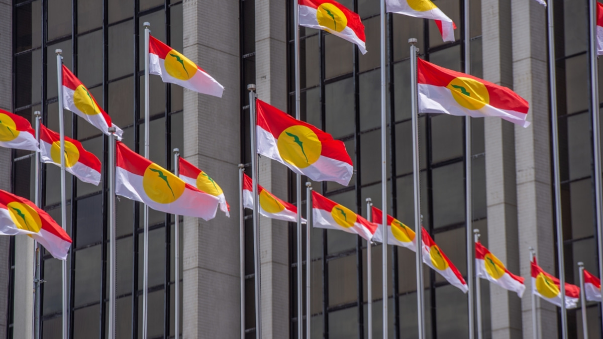 Perlis Umno Set to Contest All State and Federal Seats Independently in Next Election
