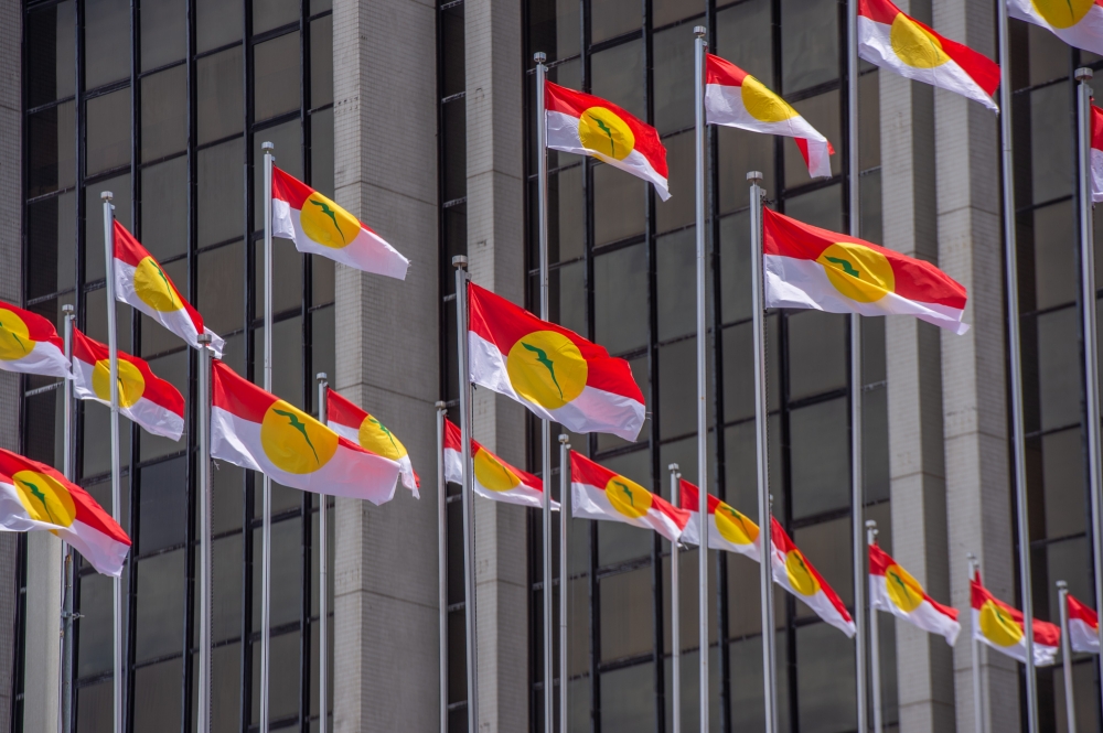 Perlis Umno Set to Contest All State and Federal Seats Independently in Next Election