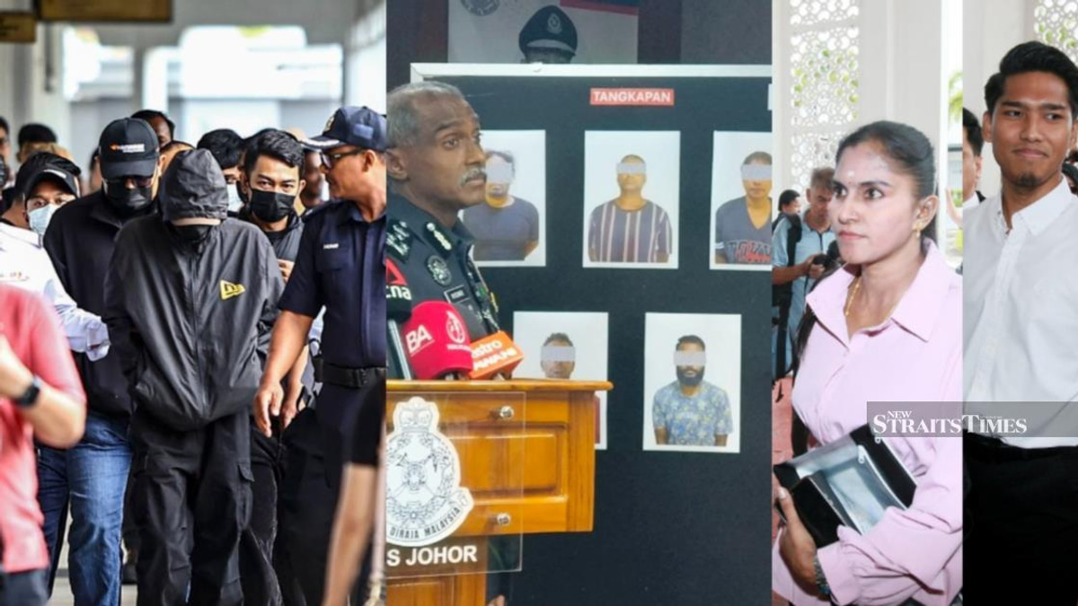 Courts grapple with high-profile cases: dog cruelty dispute, fatal mall incident and cross-border abduction