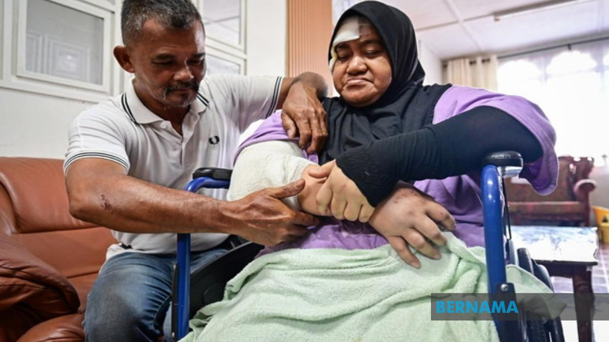 LPT2 Safety Breach: Driver Demands Action After Elephant Collision Injures Family