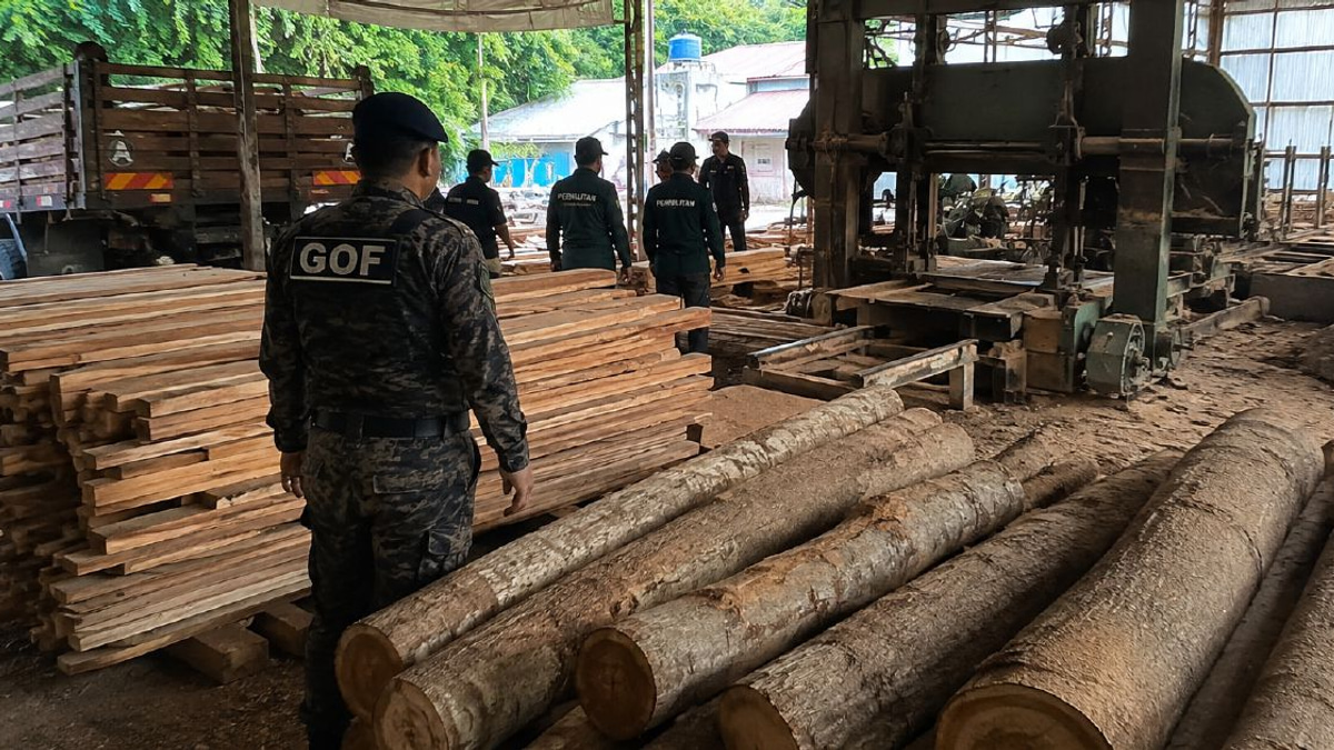 Sawmill raided in Terengganu; timber and equipment worth RM640,510 seized