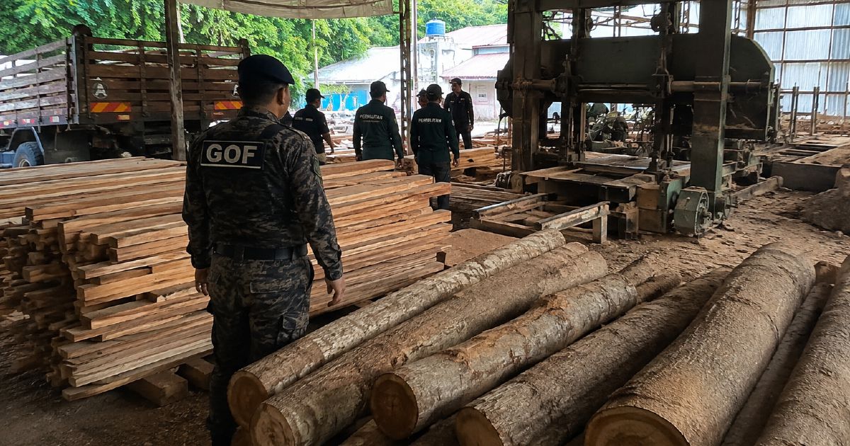 Sawmill raided in Terengganu; timber and equipment worth RM640,510 seized