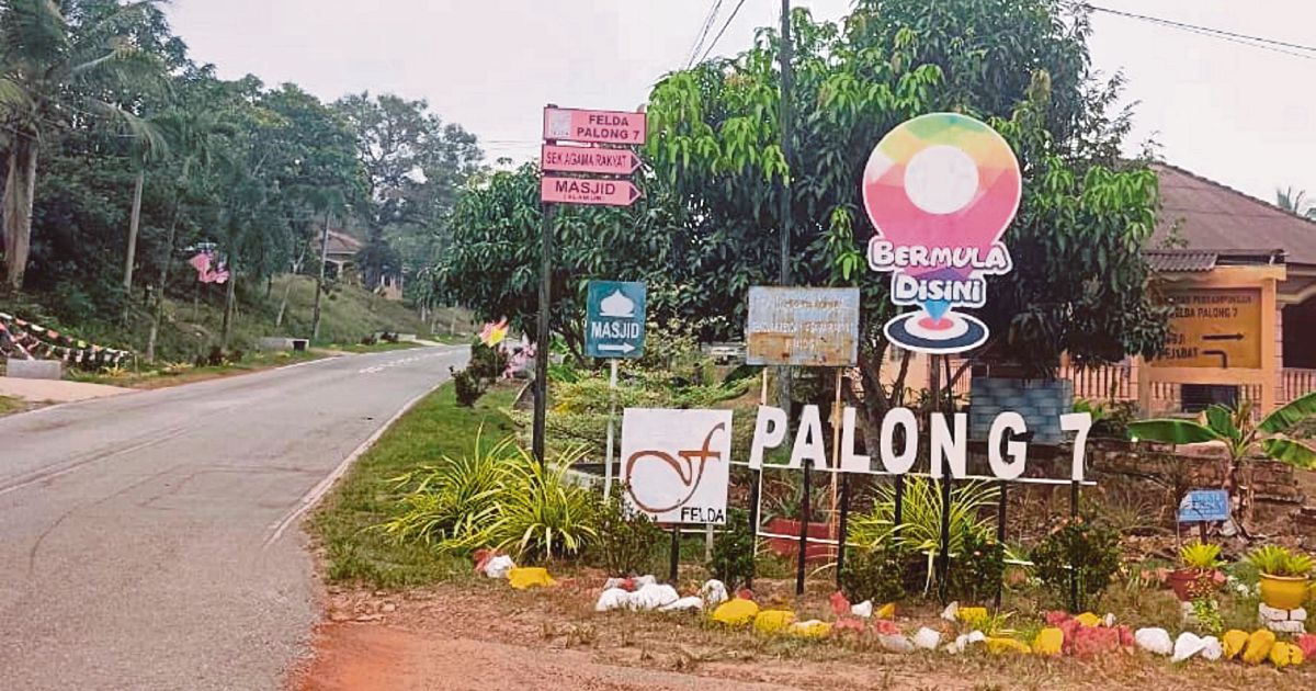 MACC Scrutinises Felda Palong 7 Documents as RM80mil Oil Palm Project Faces Irregularity Probe