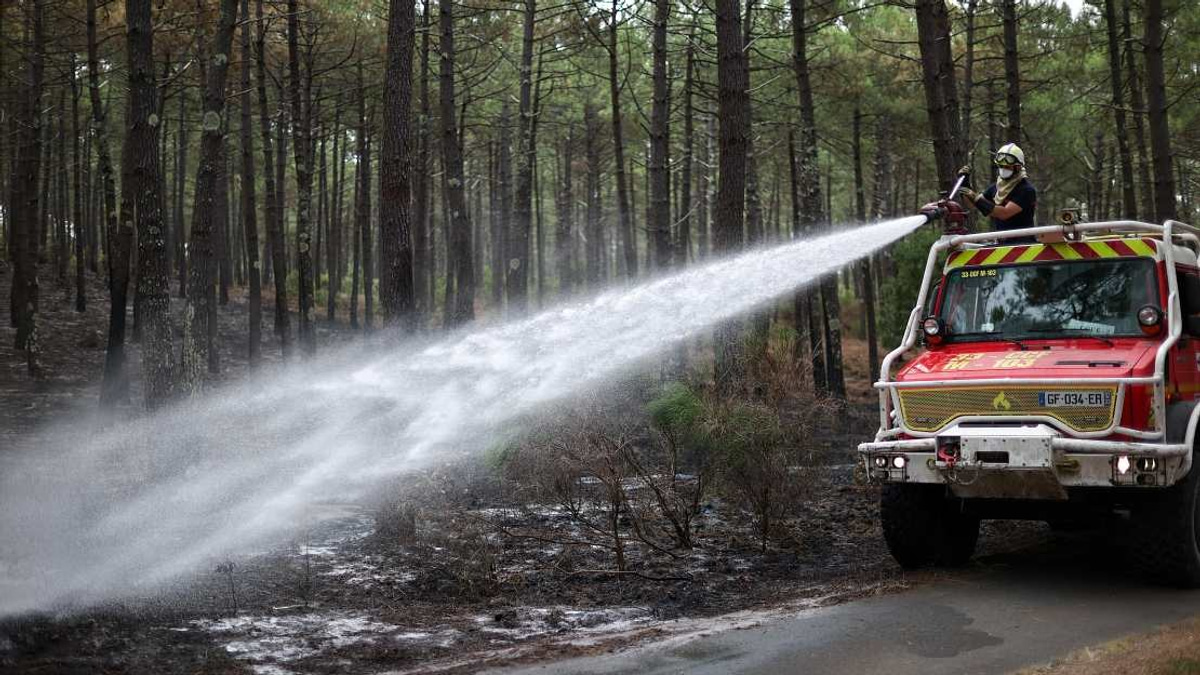 France Arrests Over 300 People Linked to Wildfire Outbreak