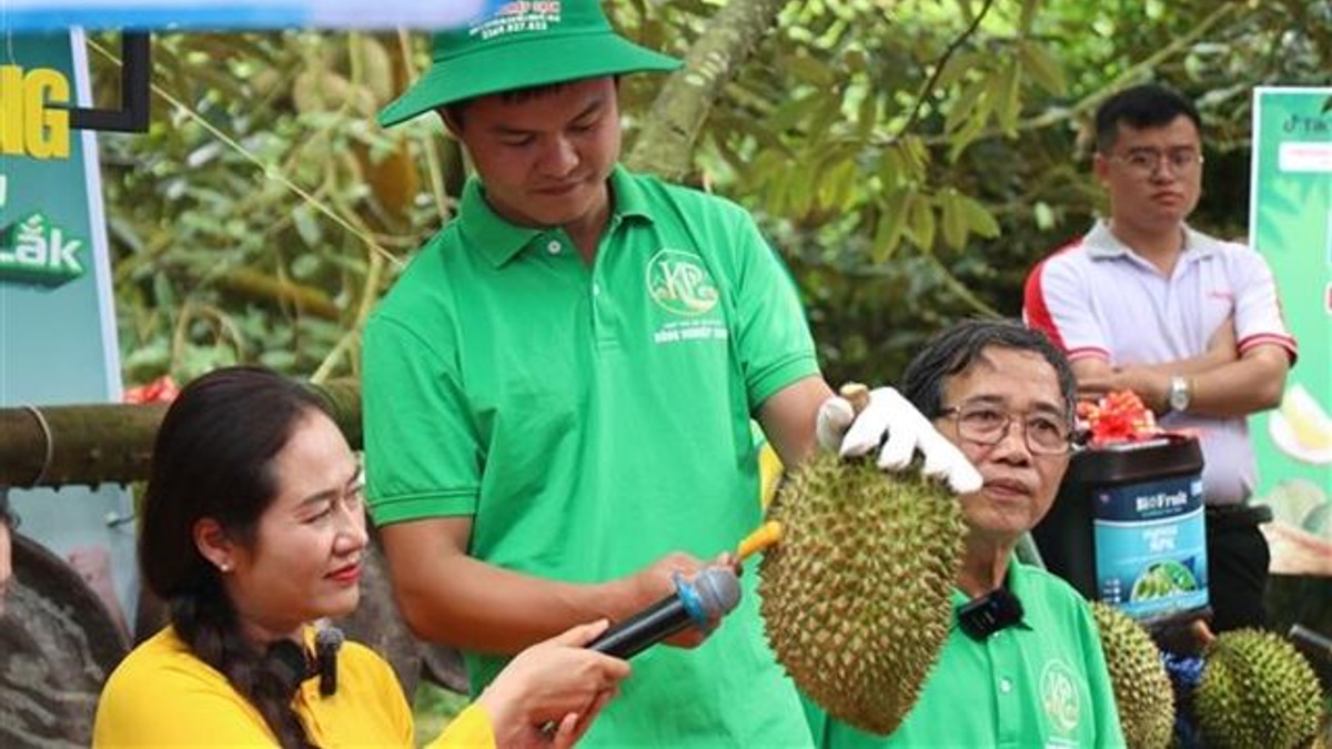 Vietnam's Durian Boom Faces Growing Pains as Certification System Comes Under Fire