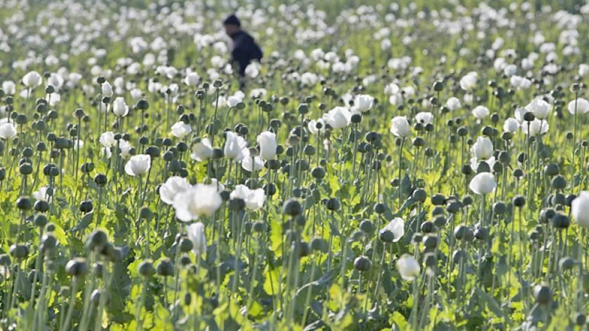 Myanmar police seize 17.6kg heroin and million stimulant pills in major drug bust
