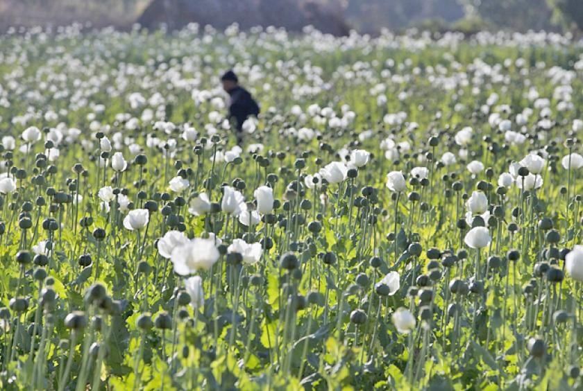Myanmar police seize 17.6kg heroin and million stimulant pills in major drug bust