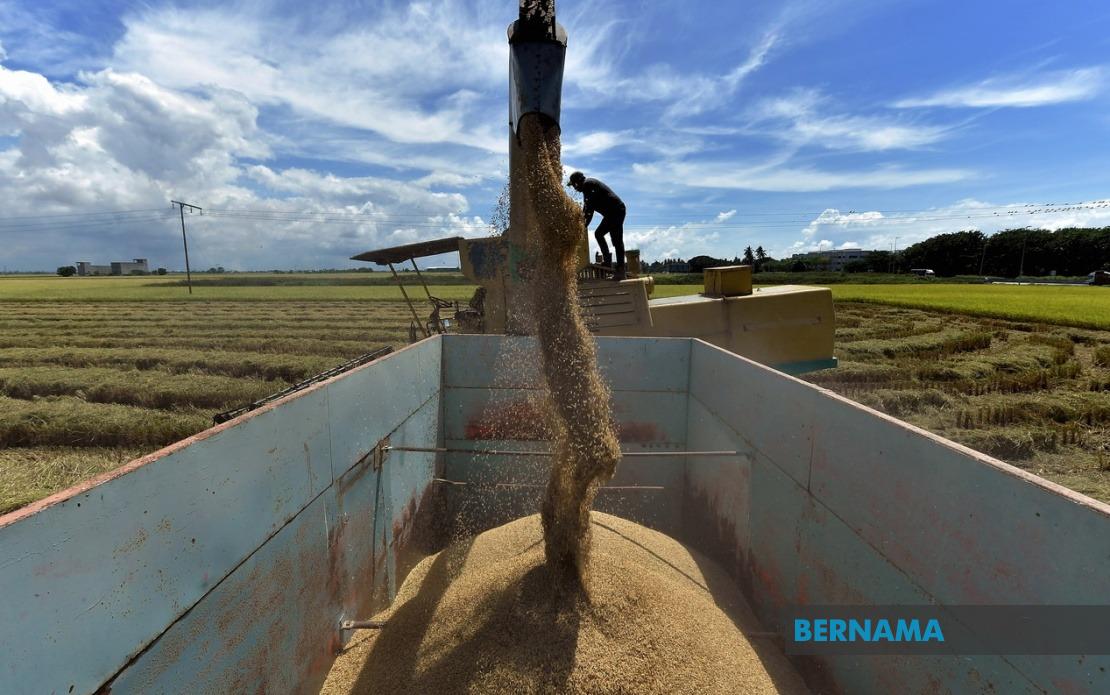 Parliament Tables Bill to Tighten Control Over Padi and Rice Markets