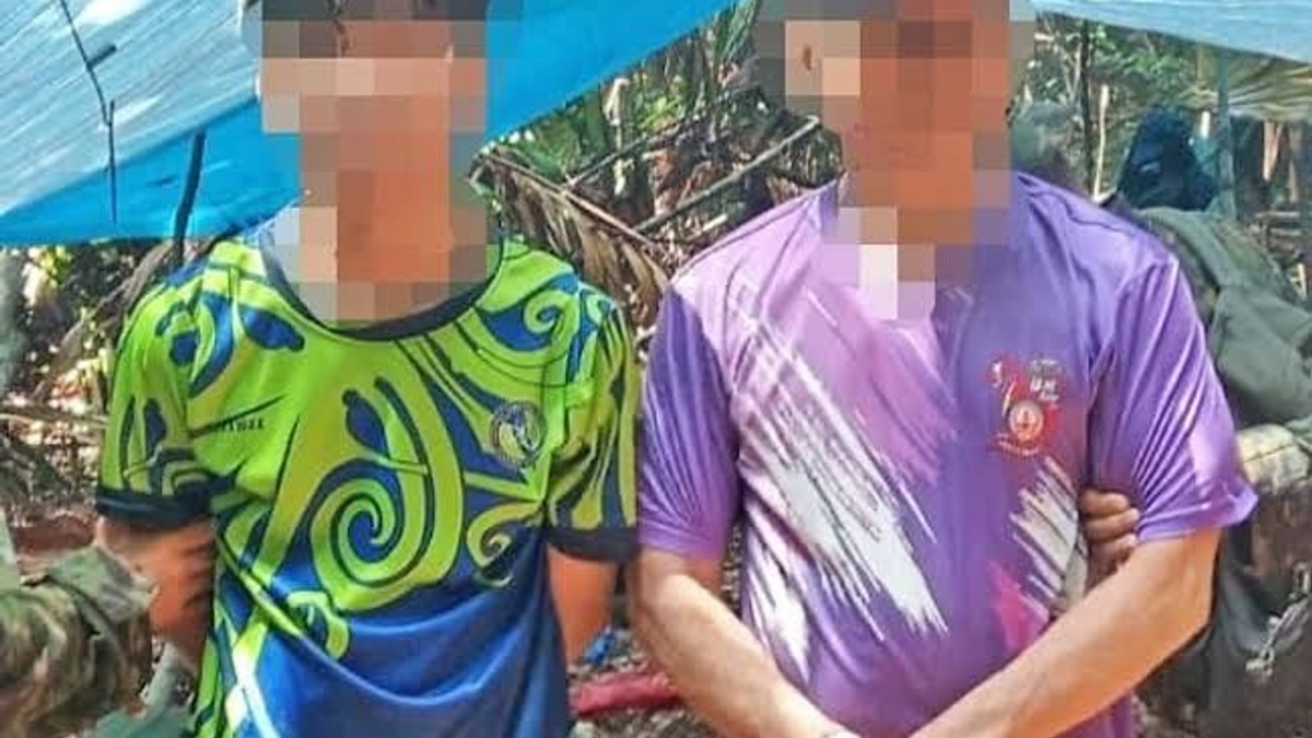 Brunei arrests two foreigners over agarwood theft from protected forest