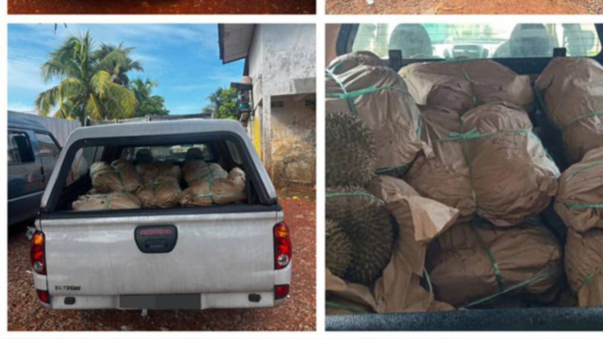 GOF Nets RM50,000 Smuggling Haul as Durian Trafficking Ring Faces Crackdown