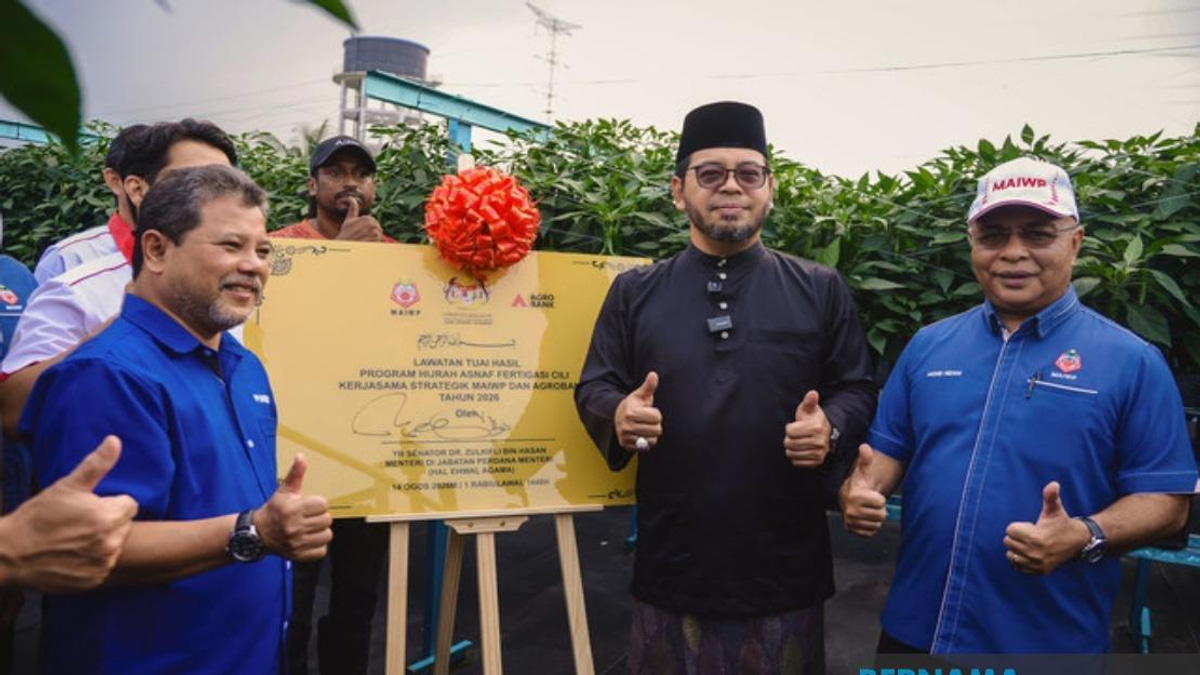 MAIWP Scales Up Asnaf Chilli Farming Initiative With Expanded Fertigation Programme