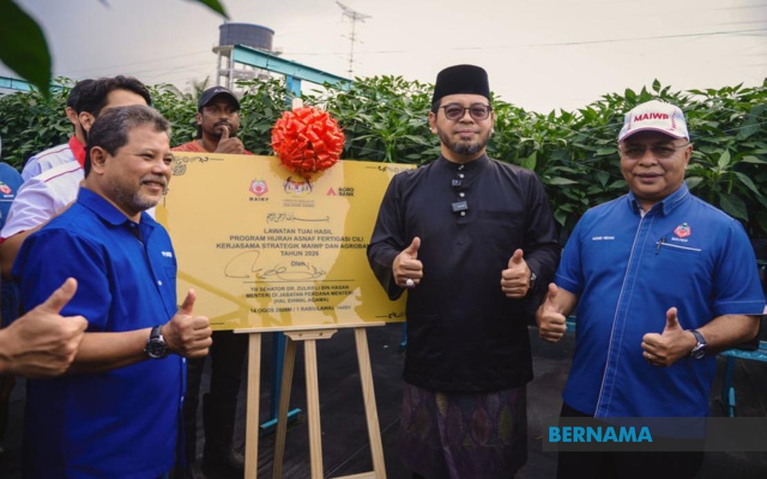MAIWP Scales Up Asnaf Chilli Farming Initiative With Expanded Fertigation Programme