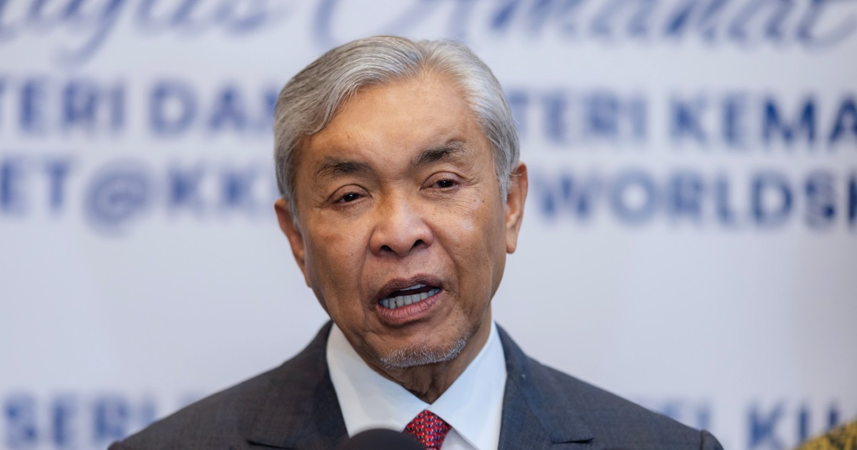 Zahid Supports Review of Immigration Service Scheme Amid Growing Complaints Over Extended Wait Times