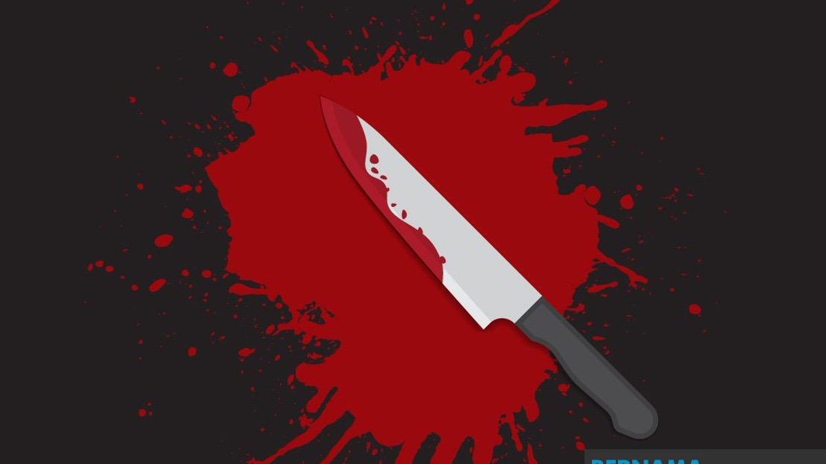 Fatal Stabbing and Attack Leave One Dead, Two Injured in New South Wales