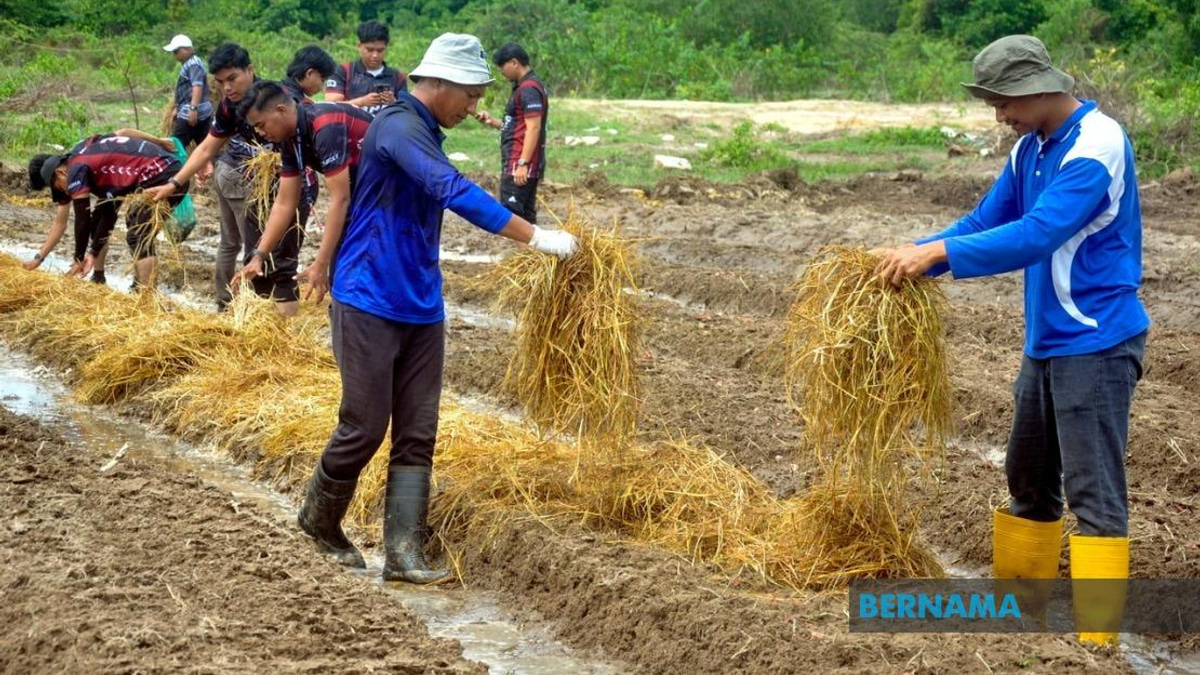 Agricultural TVET Graduate Employment Reaches 76%, But Gap Remains With National Average