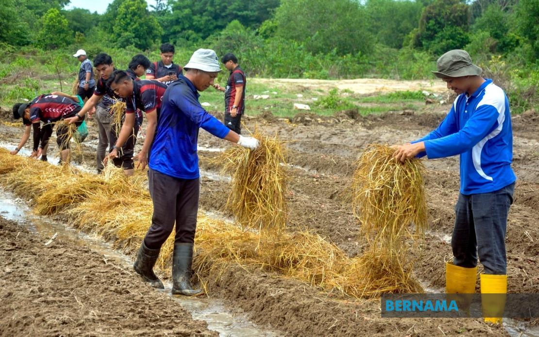 Agricultural TVET Graduate Employment Reaches 76%, But Gap Remains With National Average