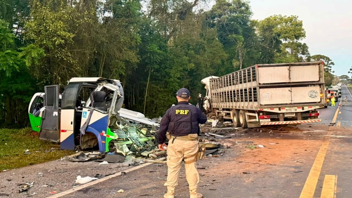 23 Dead in Head-On Collision Between Medical Transport Bus and Truck in Brazil