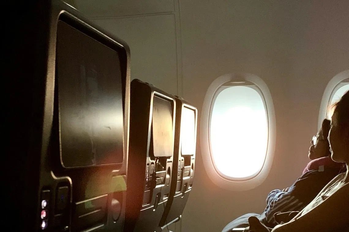 South Korean teenager petitions government to shield children from violent in-flight films