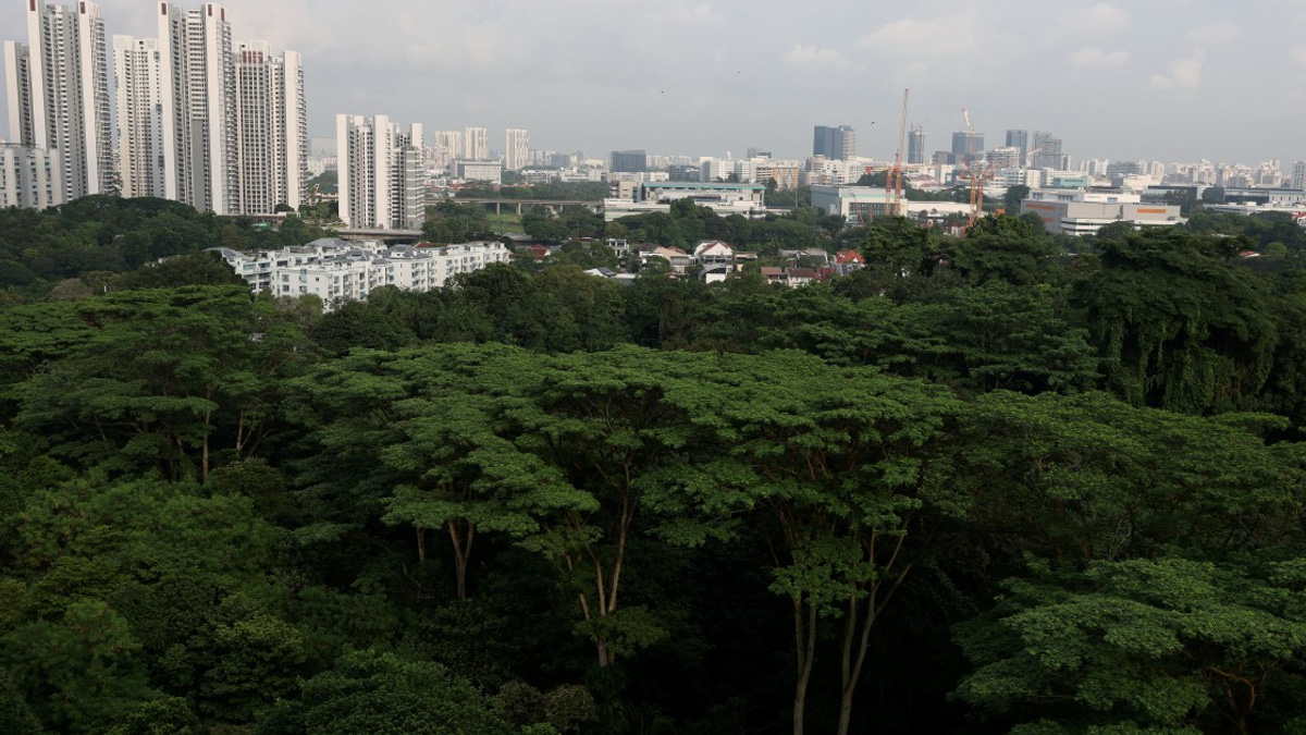 Singapore arrests three self-radicalised teenagers linked to violent attack plans