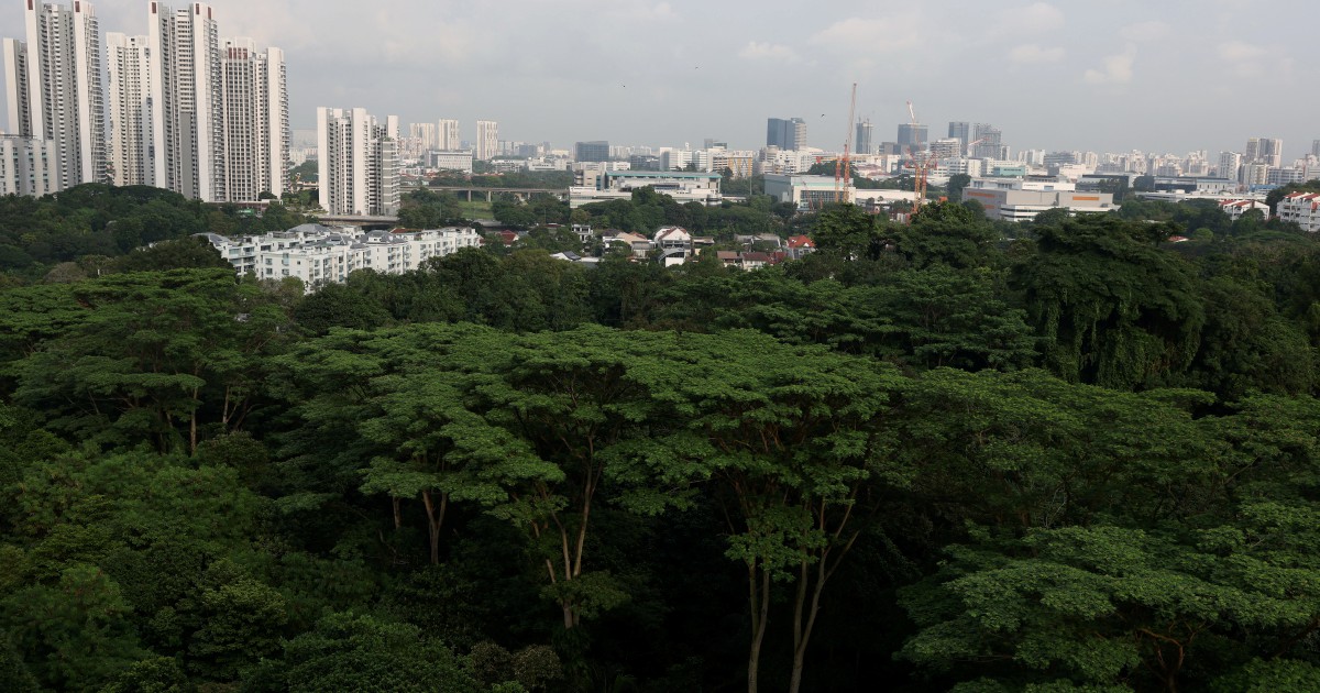 Singapore arrests three self-radicalised teenagers linked to violent attack plans