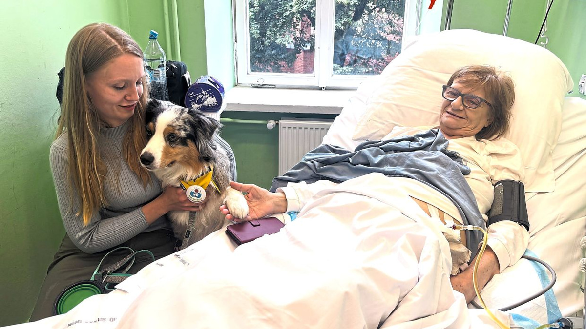 Poland moves to enshrine pet visitation rights in hospice care