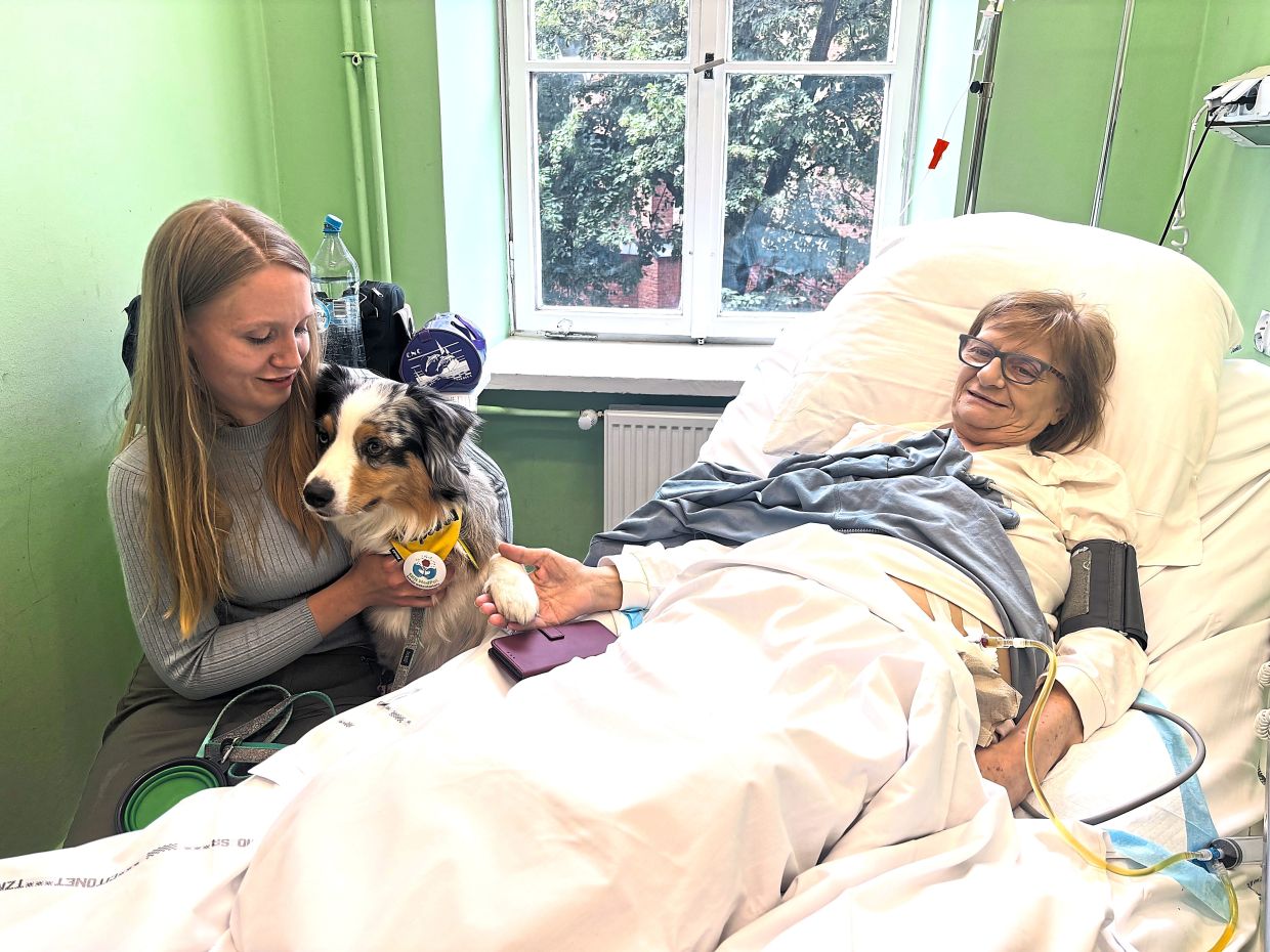 Poland moves to enshrine pet visitation rights in hospice care