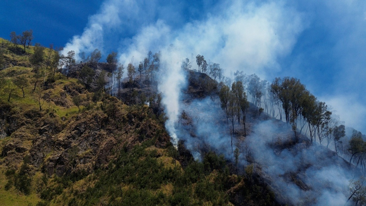 Indonesia Shuts Mount Bromo To Visitors As Wildfire Engulfs East Java Peak