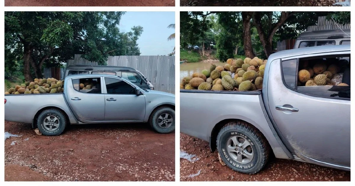 Part-time durian smuggler arrested with 700kg haul at Rantau Panjang