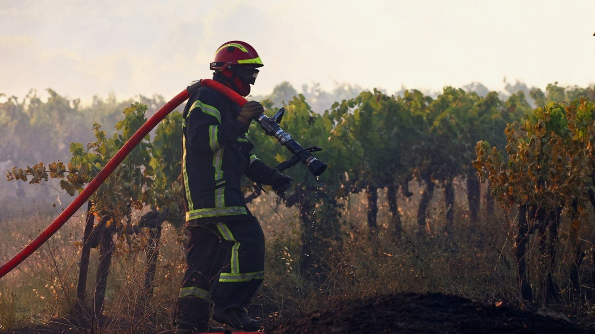 Southeast France Battling Major Wildfire as Heat Wave Intensifies Across Europe