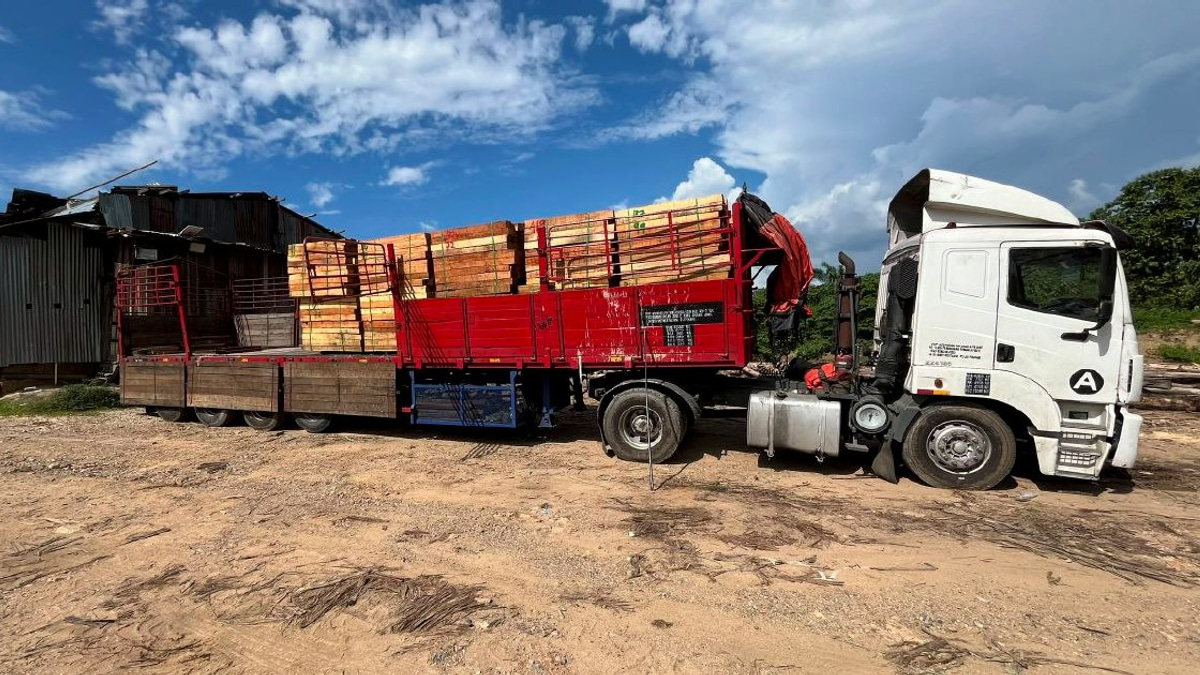 Five Arrested, RM2.32 Million in Illegal Timber and Equipment Seized in Kelantan Operation