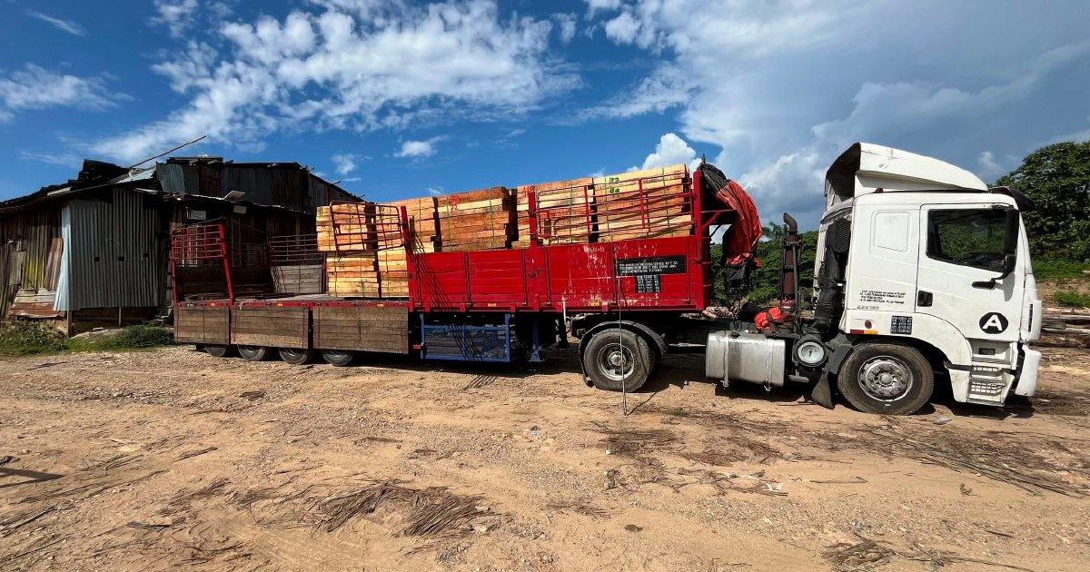 Five Arrested, RM2.32 Million in Illegal Timber and Equipment Seized in Kelantan Operation