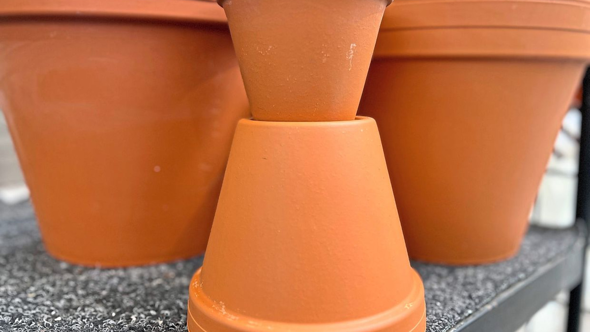 Keeping Microplastics Out of Your Garden: A Practical Guide for Conscious Gardeners