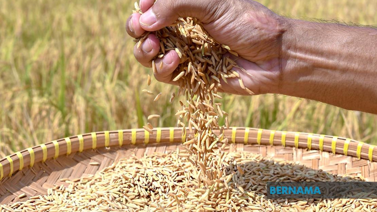 Indonesia Advances Rice Export Negotiations With Malaysia and Singapore