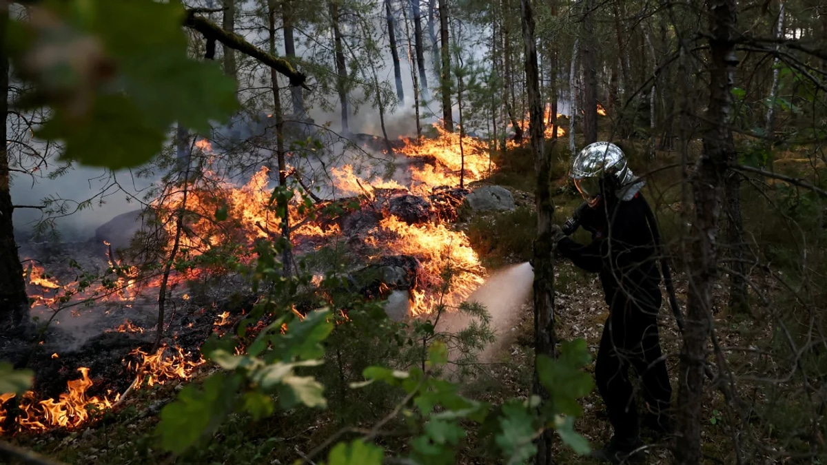 Over 1,300 hectares of historic forest near Paris consumed by major wildfires; two arrested on suspicion of arson