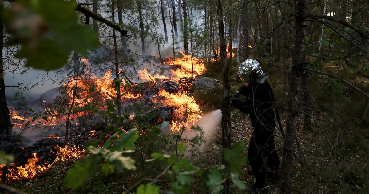 Over 1,300 hectares of historic forest near Paris consumed by major wildfires; two arrested on suspicion of arson