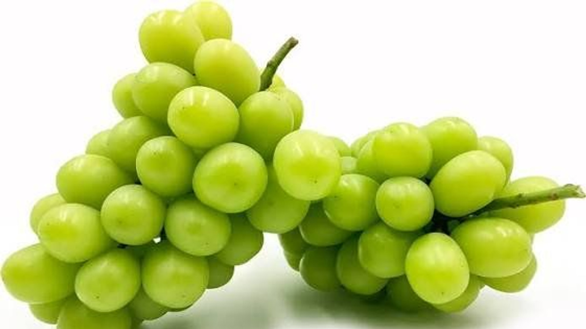 Japanese Man Arrested for RM36,000 Grape Heist in Okayama Greenhouse