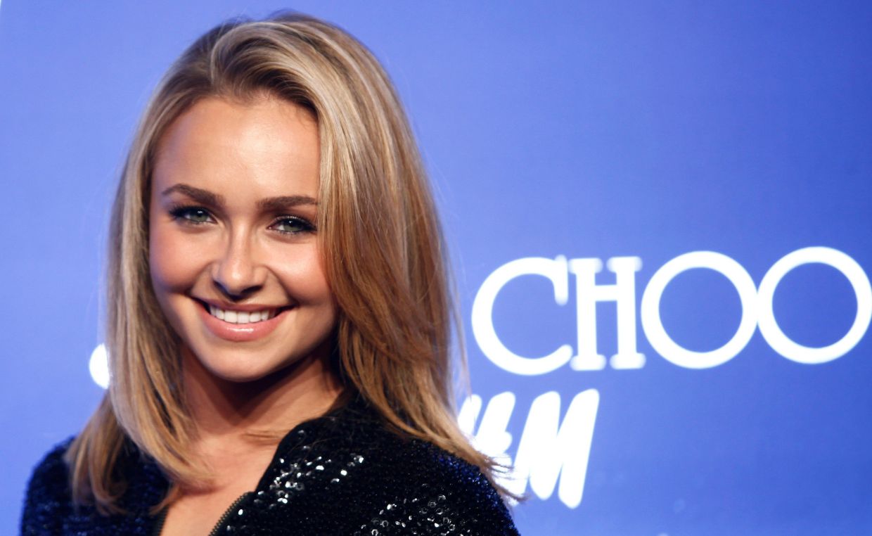 Scrutiny Intensifies on Brian Hickerson Following Hayden Panettiere's Death
