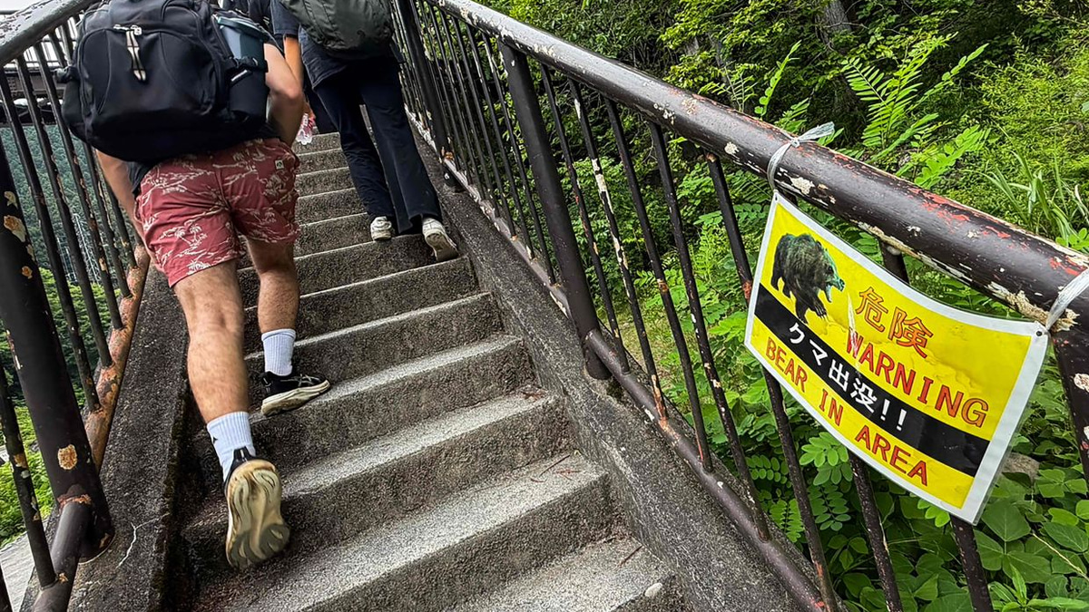 Japan tackles wildlife crisis with camera network as bear attacks escalate in Tohoku region