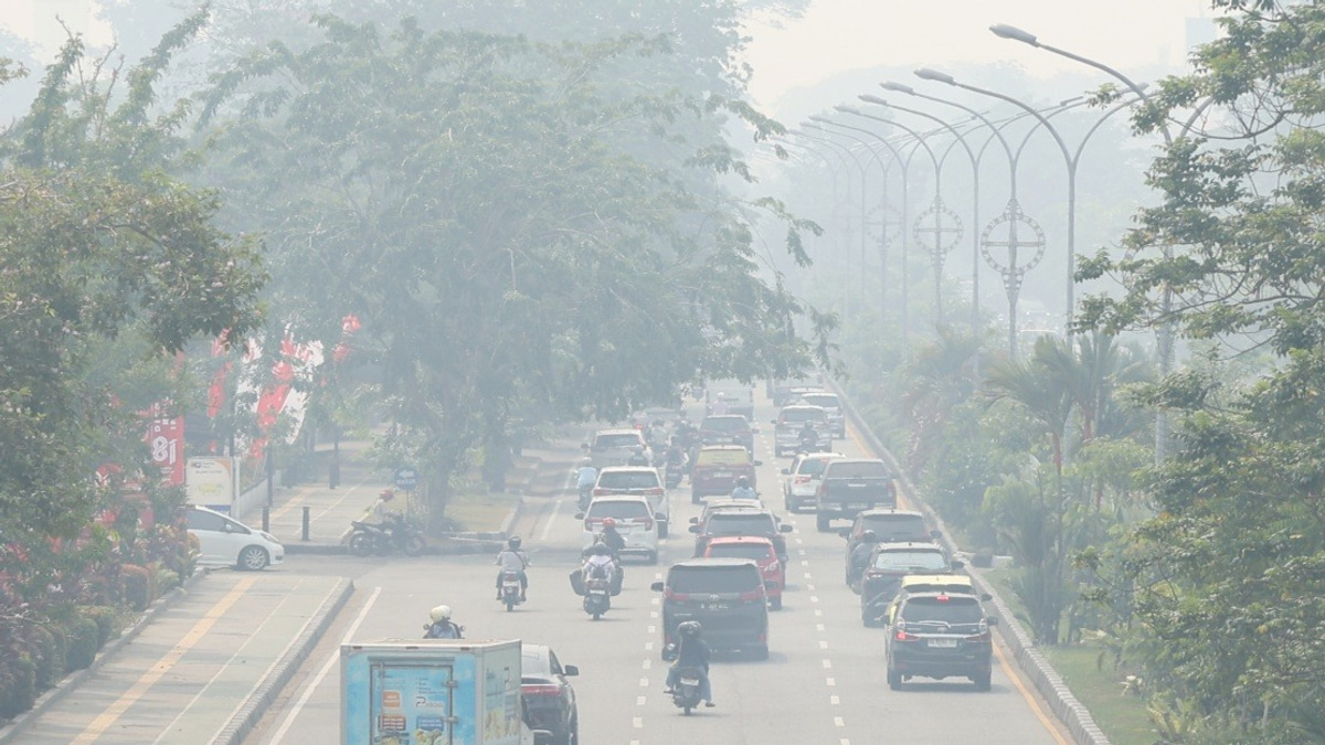 Indonesia's Air Quality Crisis Deepens as Central Kalimantan Pollution Soars to Hazardous 573 API