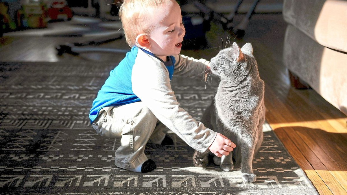 Swedish Study Challenges Long-Held Belief That Cats Trigger Childhood Asthma