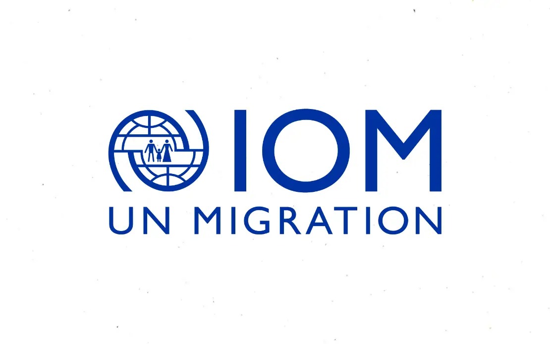 UN Warns Online Scam Centres Have Become Major Human Trafficking Hub