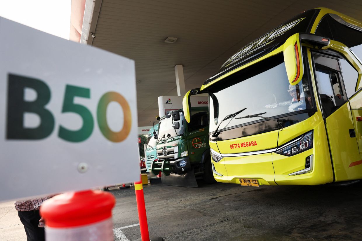 Indonesia Escalates Palm Oil Biodiesel Push with B50 Mandate to Cut Import Dependency