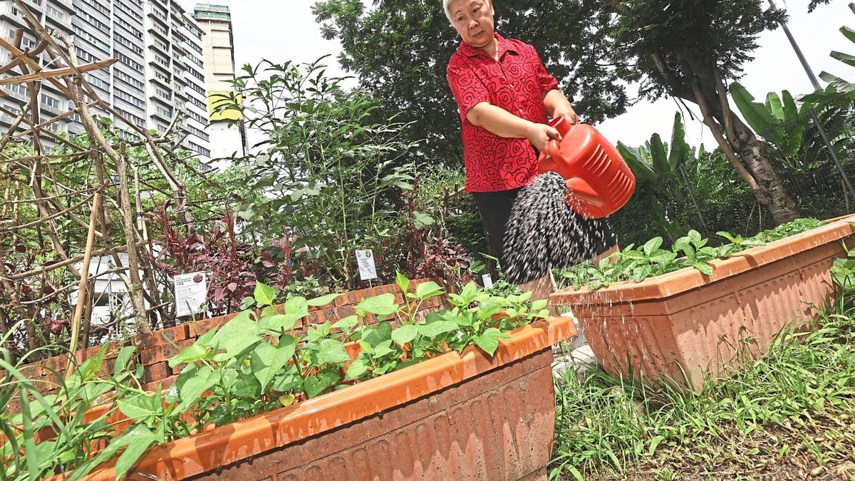 From Wasteland to Wellness: How a Kuala Lumpur Food Forest is Transforming Senior Living