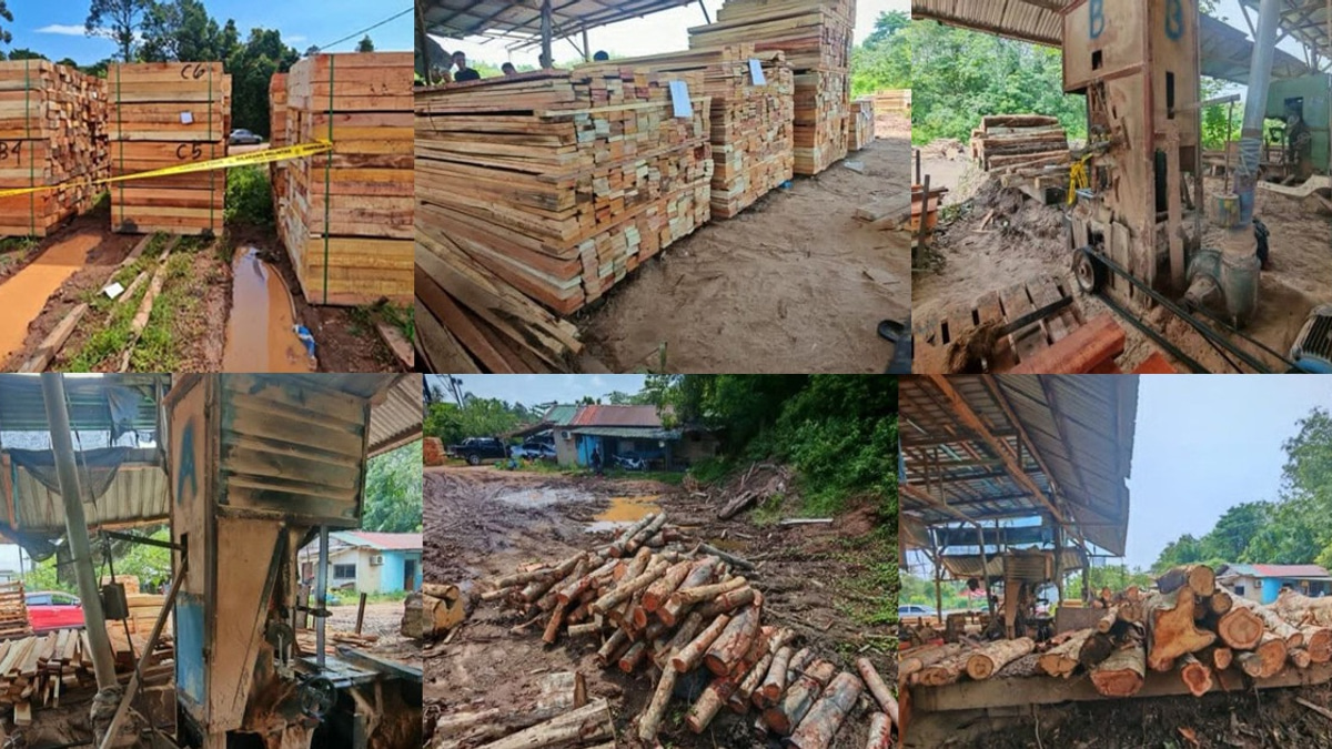 Four arrested in Kelantan timber operation; RM600,000 in equipment seized