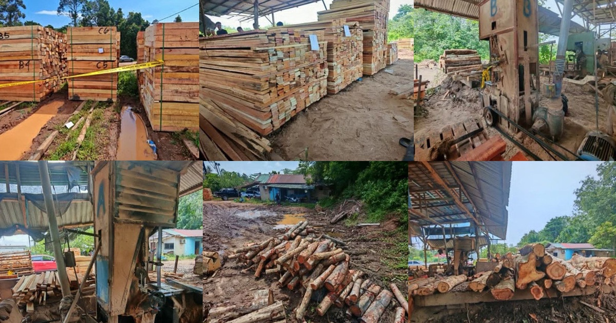Four arrested in Kelantan timber operation; RM600,000 in equipment seized